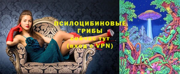молекула духа Алзамай